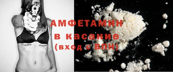 стаф Аркадак