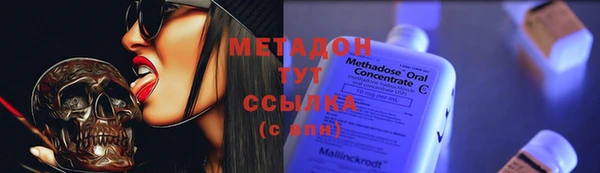 стаф Аркадак