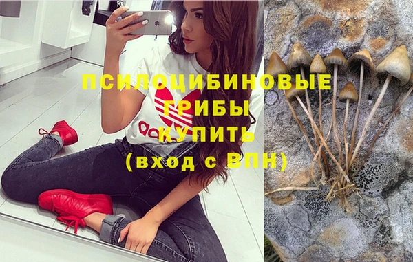 тгк Баксан