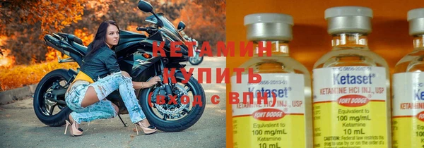 стаф Аркадак