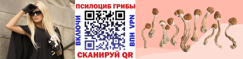 мега зеркало Темрюк Галлюциногенные грибы прущие грибы